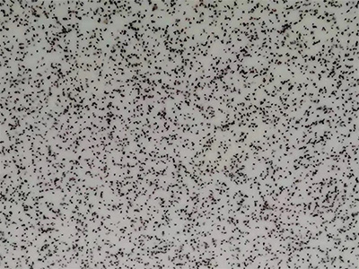 Decorative Acrylic Sheet
