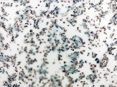 Decorative Acrylic Sheet